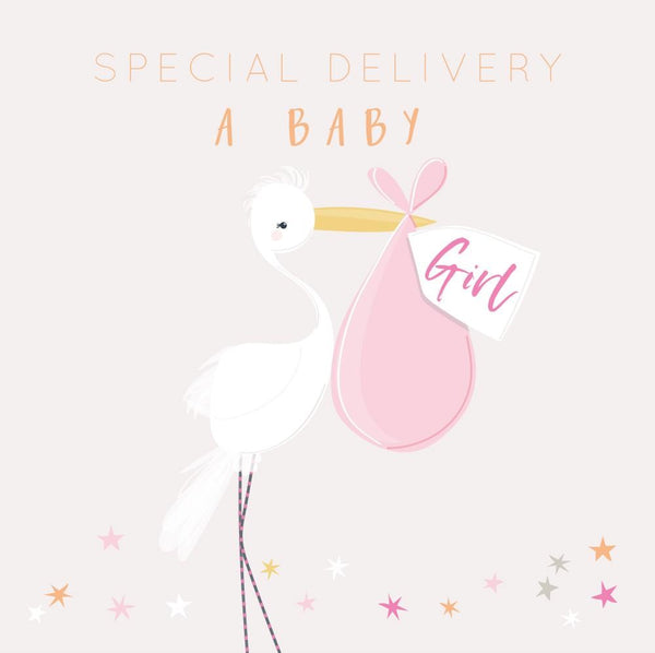 Special Delivery Baby Girl Card The Eel Catchers Daughter